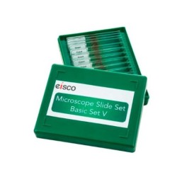 PLACA MICROPREPARADA KONUS BIOLOGIA LA VIDA EN EL SUELO K4950 (10 UNI)