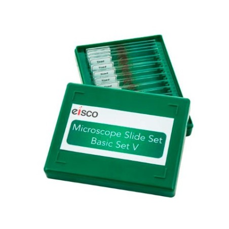 PLACA MICROPREPARADA KONUS BOTANICA BACTERIAS ORGANISMOS SIMPLES K4877 (10 UNI)