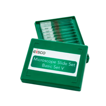 PLACA MICROPREPARADA KONUS ZOOLOGIA PECES RANAS Y ANFIBIOS K4855 (10 UNI)