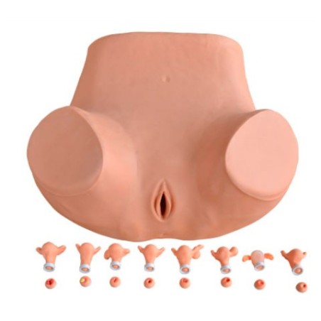 SIMULADOR DE ENTRENAMIENTO GINECOLOGICA MEXS-411