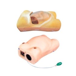 SIMULADOR MATERNIDAD AVANZADO MEXS-412