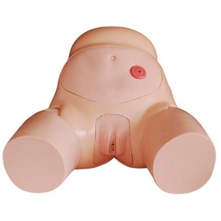 MODELO AVANZADO CATETERISMO URETRA FEMENINO MEXS-408D