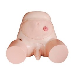 MODELO AVANZADO CATETERISMO URETRA MASCULINO MEXS-408C