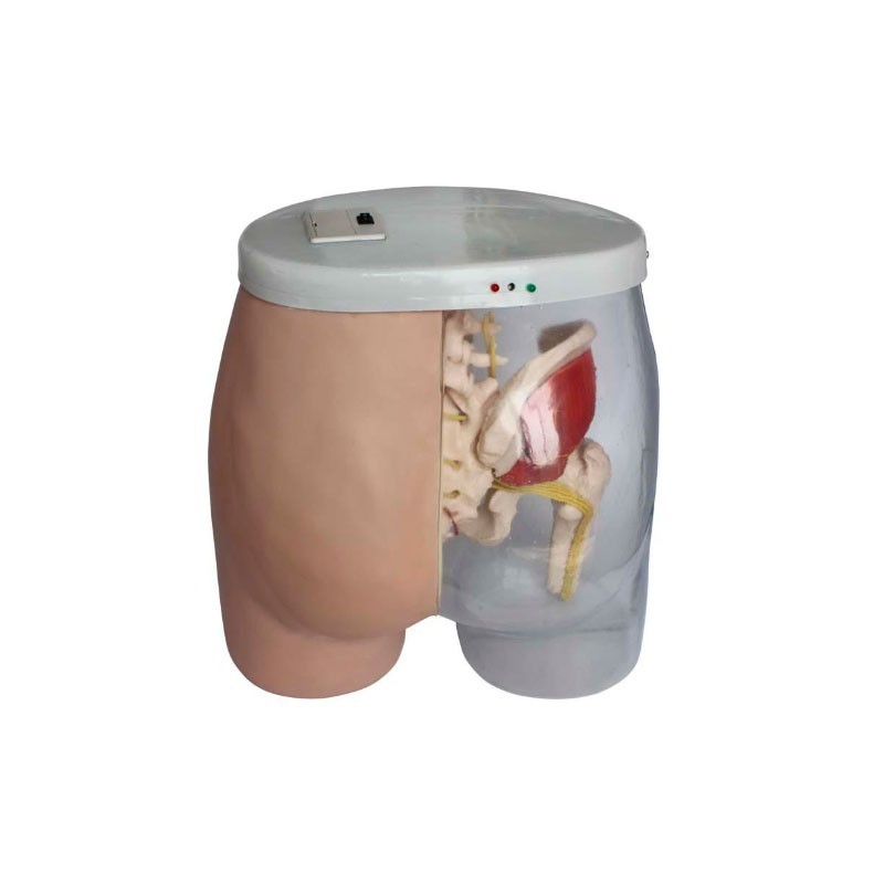 MODELO ELECTRÓNICO DE INYECCIÓN INTRAMUSCULAR MEXS-453A