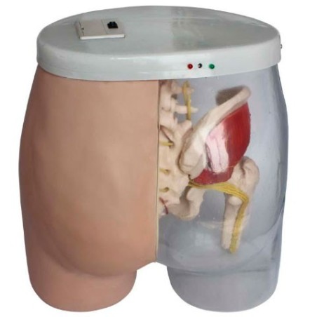 MODELO ELECTRÓNICO DE INYECCIÓN INTRAMUSCULAR MEXS-453A