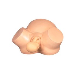 SIMULADOR DE PARTO MEXS-419A