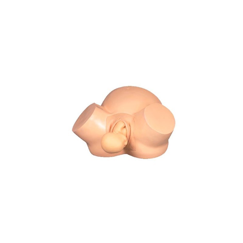 SIMULADOR DE PARTO MEXS-419A