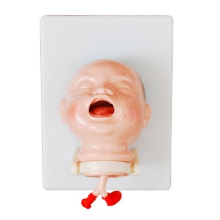 SIMULADOR INTUBACION RECIEN NACIDO MEXS-410A