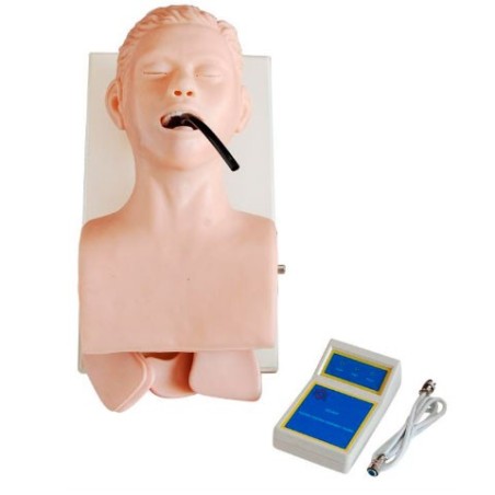 SIMULADOR INTUBACION TRAQUEA MEXS-407