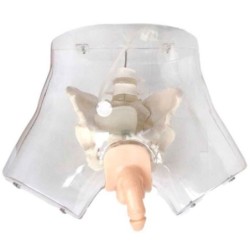 SIMULADOR TRANSPARENTE DE CATETERIZACIÓN MASCULINO MEXS-408E