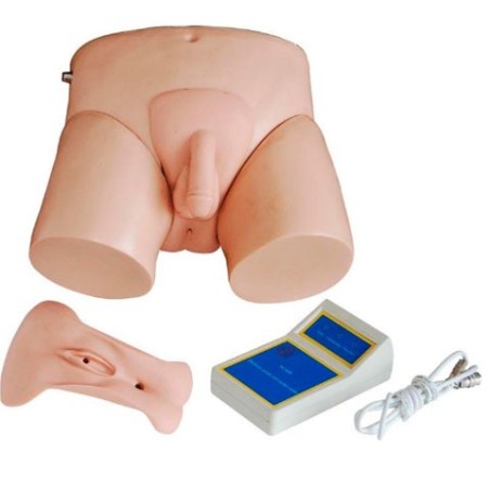 SIMULADOR URINARIO ELECTRICO MEXS-408