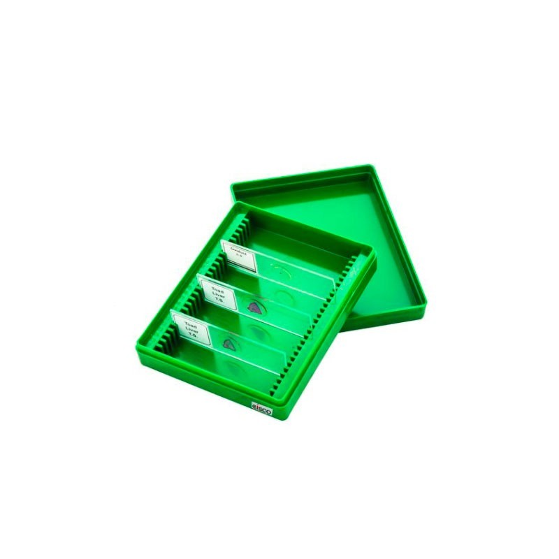 CAJA GUARDA PORTAOBJETOS POLIETILENO BI0114B