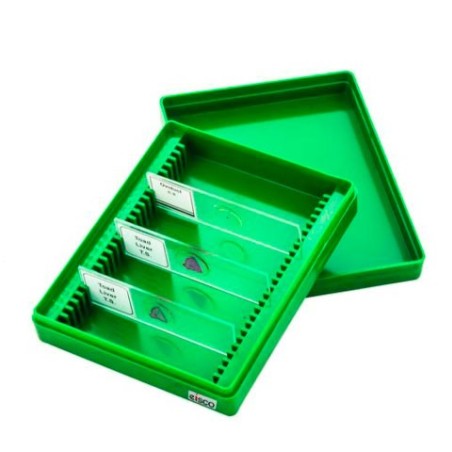 CAJA GUARDA PORTAOBJETOS POLIETILENO BI0114B