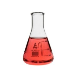 MATRAZ ERLENMEYER 100ML VIDRIO CH0424D