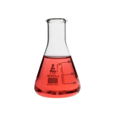 MATRAZ ERLENMEYER 100ML VIDRIO CH0424D