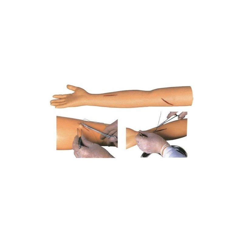SIMULADOR BRAZO AVANZADA PRACTICA DE SUTURA MEXS-439