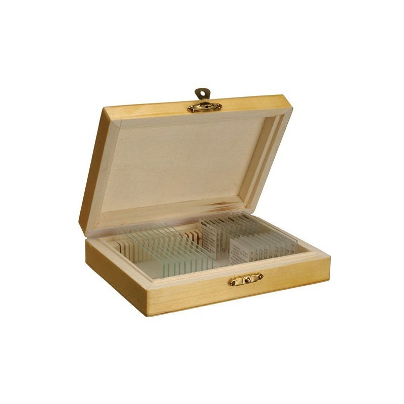 MICROP BIOLOGIA ESTRUCTURA CELULA VEGETAL K4886 (10 UNI)