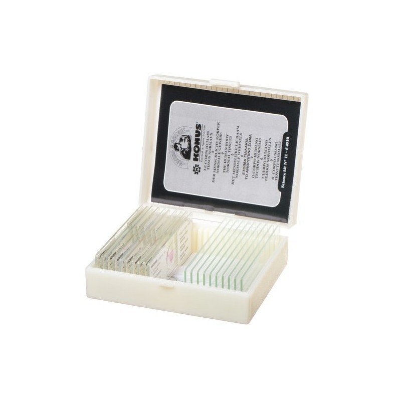 MICROP BIOLOGIA CUERPO HUMANO TEJIDOS NORMALES K4910 (10 UNI)