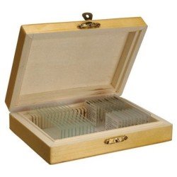 MICROP BIOLOGIA CRECIMIENTO Y REPRODUCCION CELULAS K4887 (10 UNI)