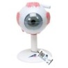 MODELO GLOBO OCULAR (3X SU TAMAÑO) F15