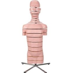 MODELO TORSO CON 15 SEGMENTOS SEPARADOS (DISCK TORSO 15 SLICES) VA 20