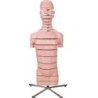 MODELO TORSO CON 15 SEGMENTOS SEPARADOS (DISCK TORSO 15 SLICES) VA 20