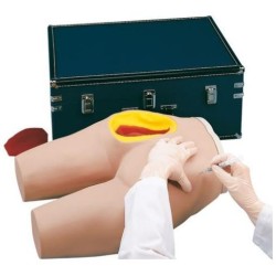 MODELO INYECCIÓN INTRAMUSCULAR NASCO