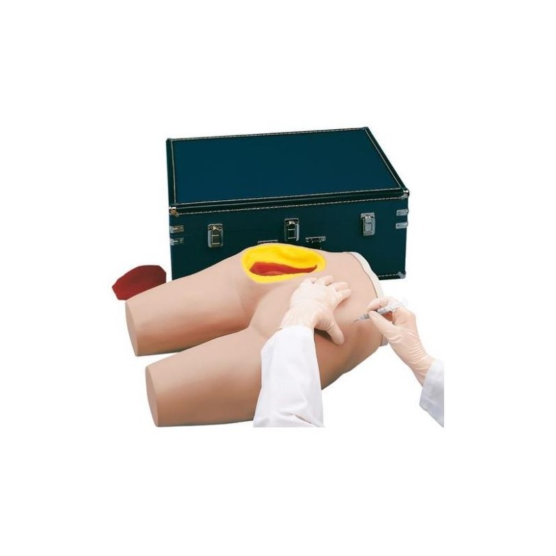 MODELO INYECCIÓN INTRAMUSCULAR NASCO