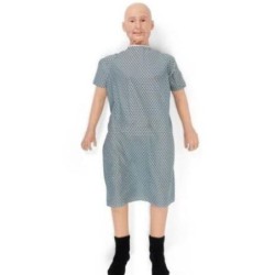 MODELO ENTRENADOR DE CUIDADO DEL PACIENTE DEL CUIDADO GERIATRICO TERI