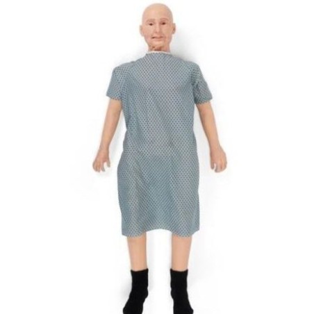 MODELO ENTRENADOR DE CUIDADO DEL PACIENTE DEL CUIDADO GERIATRICO TERI