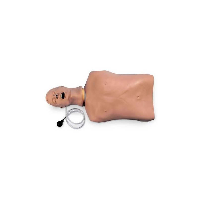 MODELO ENTRENADOR VÍAS RESPIRATORIAS TORSO AIRWAY LARRY AVANZADO