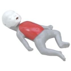 MODELO MANIQUI RCP BABY BUDDY