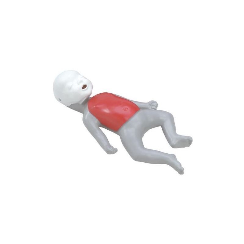 MODELO MANIQUI RCP BABY BUDDY