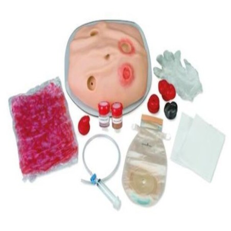 SIMULADOR COMPLETO  DE FORMACIÓN EN HIGIENE Y ASEO DEL ESTOMA