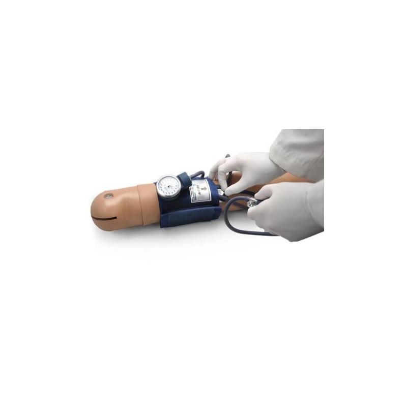 MODELO SISTEMA DE ENTRENAMIENTO DE PRESIÓN ARTERIAL CON ALTAVOZ 110 V