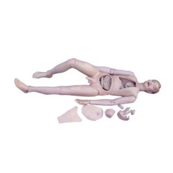 SIMULADOR FORMACION ENFERMERIA MASCULINO MEXS-401A-1